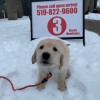 Southgate Animal Hospital