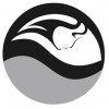 Body Rush Personal Fitness