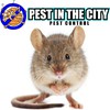 Pest In The City