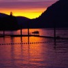 South Cowichan Eye Care