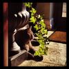 Richmond Veterinary Clinic