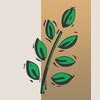 Il Giardino Landscaping