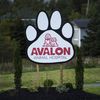 Avalon Animal Hospital