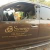 Synergy Landscape Design