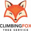 Climbing Fox Tree Service