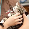 Van Isle Veterinary Hospital