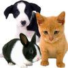 English Line Veterinary Service