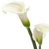 Tompkins Funeral Home