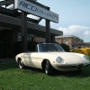 Ricci Auto Collision