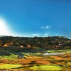 B C Golf Safaris