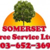 Somerset Tree Service