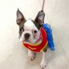 Hastings Veterinary Hospital