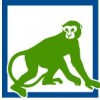 Geek Monkey Technologies