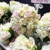 Lina Floral Design