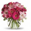 Lemon Tree Florist