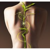 Think Chiropractic & Wellness Center