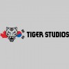 Tiger Studios Martial Arts