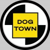 Dog Town