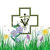 Wascana Animal Hospital