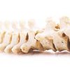 Pollock Family Chiropractic