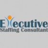 Executive Staffing
