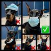 Sidney Animal Hospital