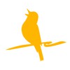 Warblr Web Design