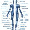 Destination Health-Wellness