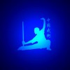 Chinese Martial Arts Academy