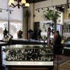 Just Jewellery