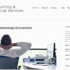Mississauga Accountants