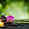Bowyer Massage Clinic