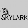 Skylark Security Solutions