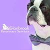 Glanbrook Veterinary Services