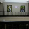 Optimum Wellness Centres