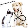 Sussex Animal Hospital