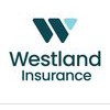 West Land Livestock