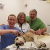 Wetaskiwin Pet Supplies & Service