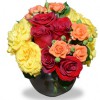 Euro Flowers