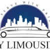 Fly Limousine Services
