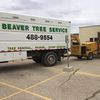 Beaver Tree Service