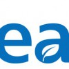 Leaf Design