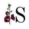Shanidar Funeral Service