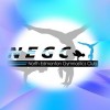 North Edmonton Gymnastics Club