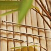 Harvest Hills Acupuncture-Herb