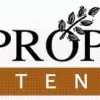 TNT Property Maintenance