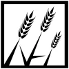 New Harvest Media