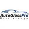 Auto Glass Pro
