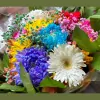 Fenwick Floral & Garden