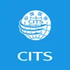 Cits V Service